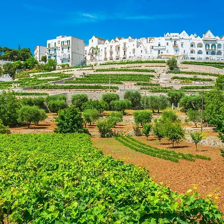 Apartment Trulli Silvana In - Happy Locorotondo